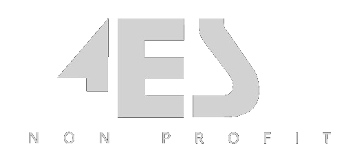logo spółki 4es - czarny, wyboldowany napis 4es, a pod spodem drukowanymi literami bez wyboldowania napis non profit 